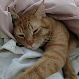 Meet your Posher, Maureen